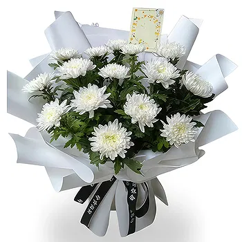 Balin You flowers  -  Fresh White Chrysanthemum Flower Bouquet  Delivery
