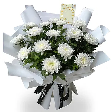 Shanghai flowers  -  Fresh White Chrysanthemum Flower Bouquet  Flower Bouquet/Arrangement
