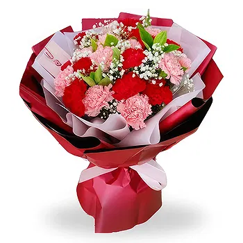 Balin You flowers  -  Charming Carnations with Baby's Breath Flower Delivery