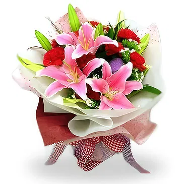 China flowers  -  Romantic Red Carnations and Pink Lilies Bouqu Flower Bouquet/Arrangement