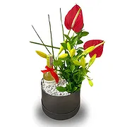 Colombia online Florist - Elegant Red Lilies and Anthuriums with Wine  Bouquet