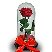 Colombia online Florist - Luxury Preserved Rose in Glass Dome Bouquet