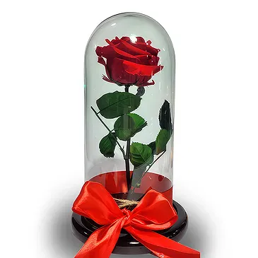 Colombia flowers  -  Luxury Preserved Rose in Glass Dome Flower Bouquet/Arrangement