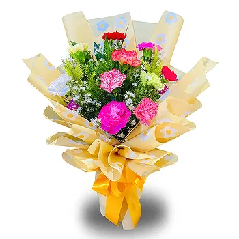 Philippines flowers  -  Delightful  Carnation Flower Delivery