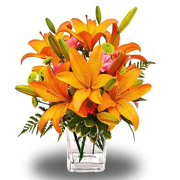 Asipulo flowers  -  Exotic Orange Flower Bouquet/Arrangement