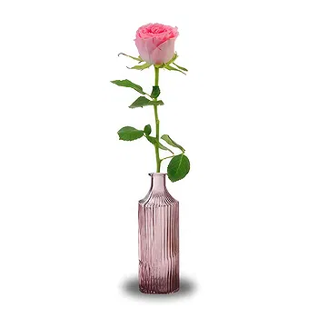 Holland flowers  -  Message of Love Flower Delivery