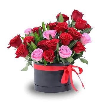 United Arab Emirates flowers  -  Rose Surprise Flower Delivery
