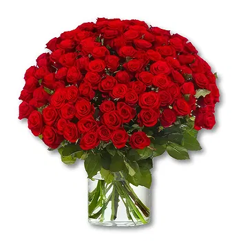 Schoondijke flowers  -  100 Premium Red Roses - Red Naomi | Grower Flower Delivery