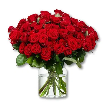 Schoondijke flowers  -  50 Premium red Roses - Red Naomi | Grower Flower Delivery