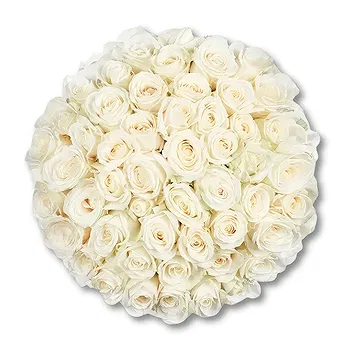 Schoondijke flowers  -  50 Premium White Roses | Grower Flower Delivery