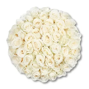 Maastricht Blumen Florist- 50 Premium-Weißrosen | Züchter Bouquet/Blumenschmuck