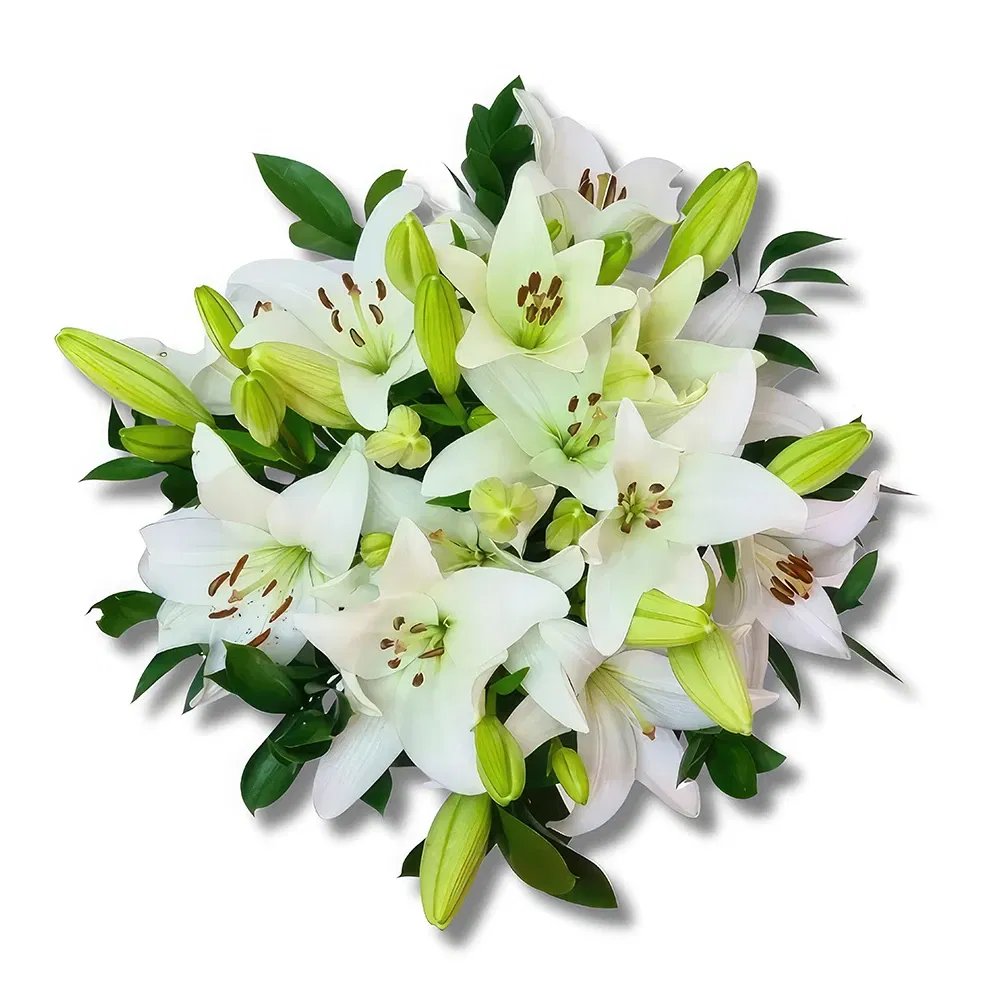 Geneve blomster- Erindring om sindsro