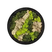 Alle anderen Städte Online Blumenhändler - Grüne Gelassenheit Blumenstrauß