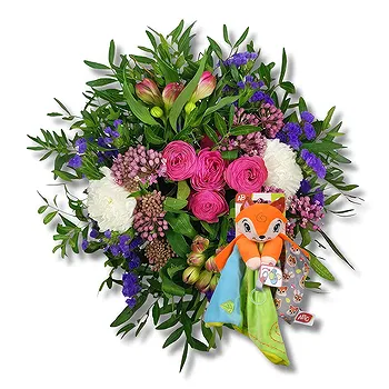 Verossaz flowers  -  Semper Baby Delight Flower Delivery