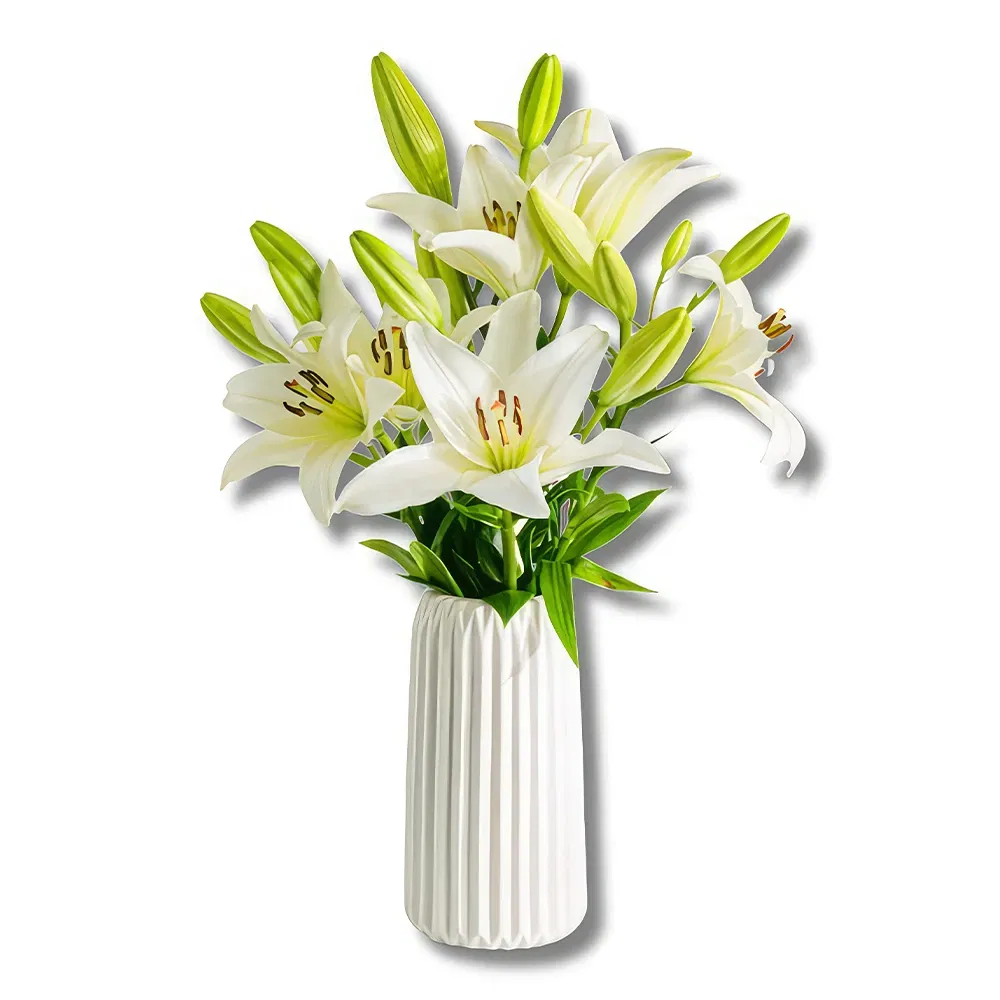 flores Alicante floristeria -  Comienzos brillantes: La belleza del lirio bl