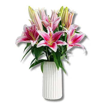 Madrid flowers  -  Better Together: Pink Lily Display Flower Delivery