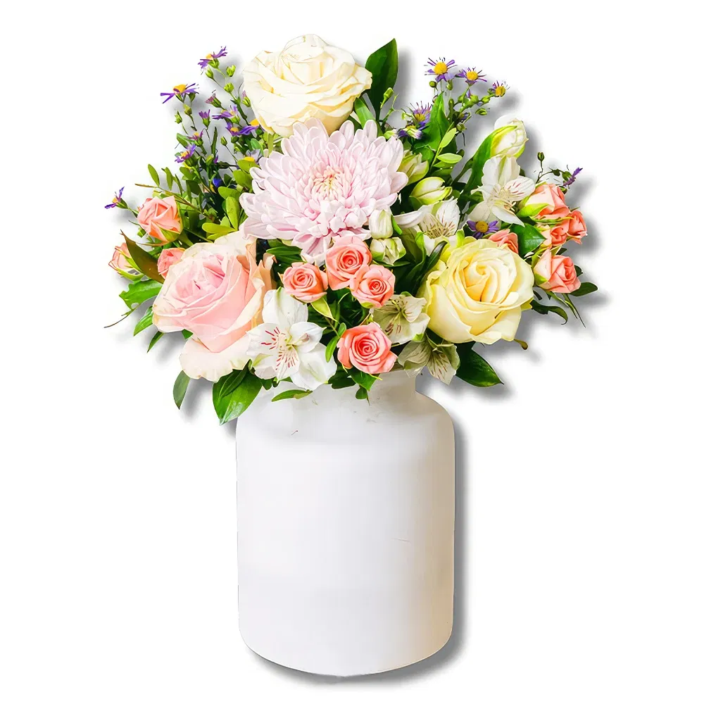flores Alicante floristeria -  La alegría de mamá: Anastasia y Aster