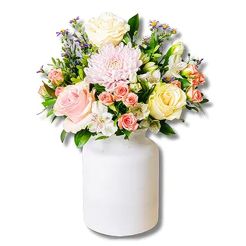Madrid flowers  -  Mum’s Joy: Anastasia and Aster Flower Delivery