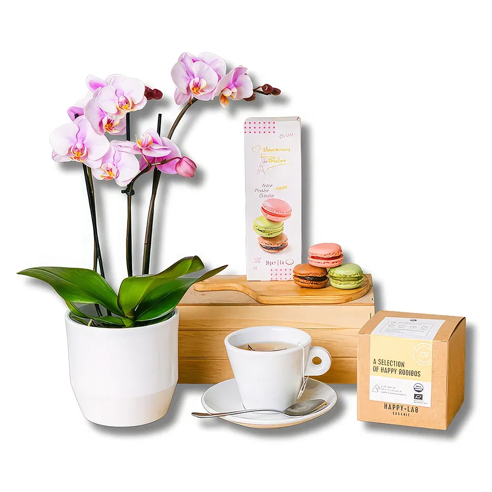 Madrid flowers  -  Tea Orchid