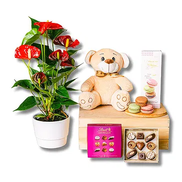 Italy flowers  -  Sweet Medley: Gourmet Gift Basket Flower Bouquet/Arrangement
