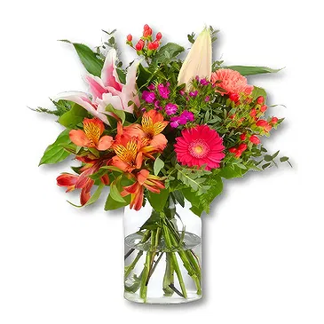 Holland blomster- Tropisk buket Ida Blomst buket/Arrangement