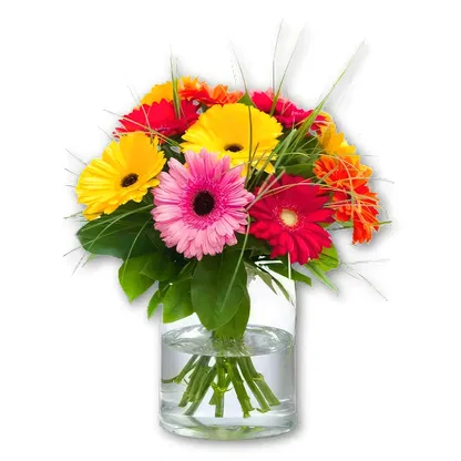 Heer Hendrikskinderen flowers  -   Flower Bouquet/Arrangement