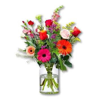 Holland flowers  -  Field Bouquet Adina Flower Delivery