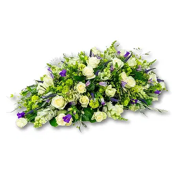 Holland flowers  -  Whole box cover 180 - 200 cm Flower Delivery