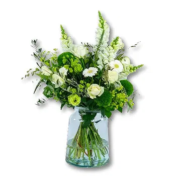 Holland flowers  -  Sympathy bouquet white + vase Flower Delivery