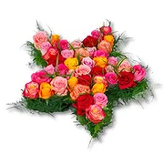 Holland online Florist - Mixed rose star (40 cm) Bouquet