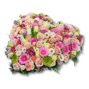 Holland flowers  -  Pink heart shape (50cm) Flower Delivery