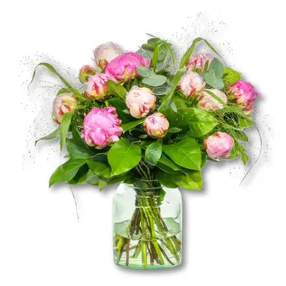 荷兰 花-  花的花束安排