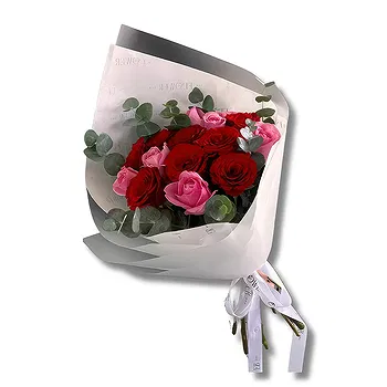 United Arab Emirates flowers  -  Premium Light Pink and Red Roses  Flower Delivery