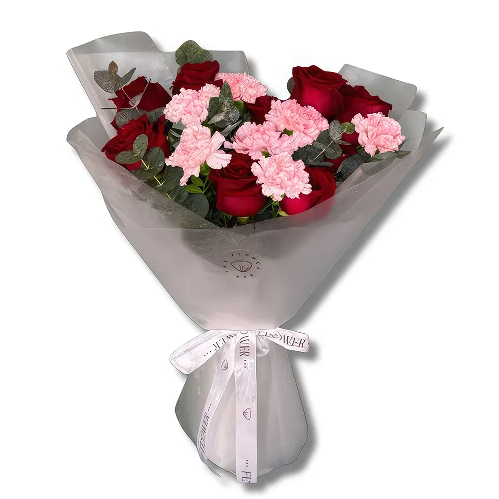 flores de Abu Dhabi- Rosas vermelhas premium e cravos cor-de-rosa