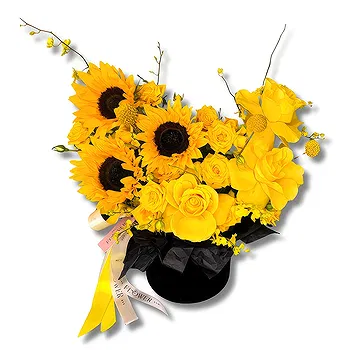 United Arab Emirates flowers  -  Premium Black Velvet Box with Sunflowers Delivery