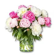 Stein online Florist - Peony Bouquet Amelie Bouquet