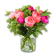 Amsterdam Online Blumenhändler - Gemischter Pfingstrosenstrauß Blumenstrauß