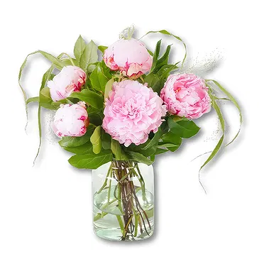 Amsterdam-Zuidoost flowers  -  Pink Double Peonies Bouquet Flower Bouquet/Arrangement