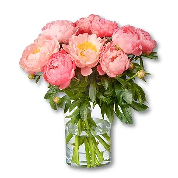 Amsterdam-Zuidoost flowers  -  Peonies Bouquet Loua Flower Bouquet/Arrangement
