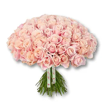 An-Najadah blomster- Elegant rosa rosebukett Blomst Levering