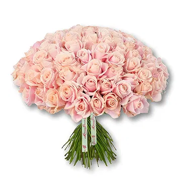 An-Najadah blomster- Elegant rosa rosebukett Blomsterarrangementer bukett