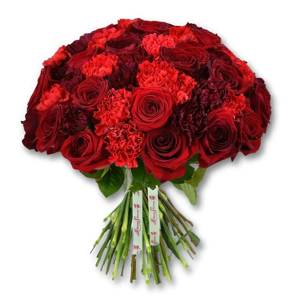flores Qatar floristeria -  Ramo de rosas rojas y claveles