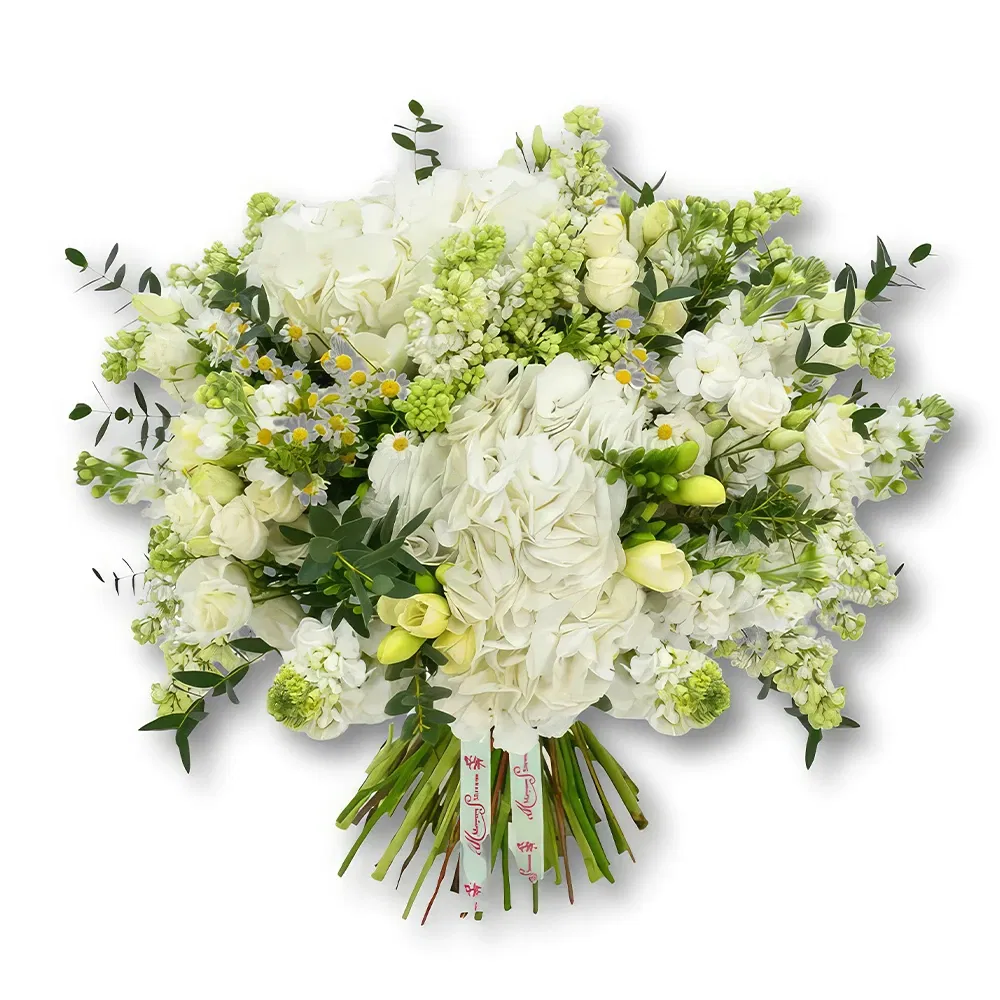 flores Qatar floristeria -  Ramo de hortensias blancas y fresias