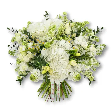 An-Najadah blomster- Hvit hortensia og freesiabukett Blomsterarrangementer bukett