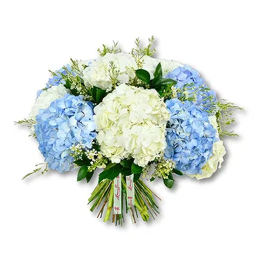 An-Najadah blomster- Elegant hortensia og voksblomst Blomsterarrangementer bukett