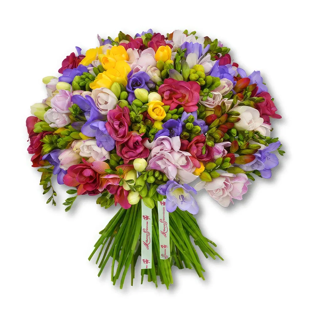 Dubai blommor- Färska freesior i flerfärg