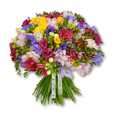 Garhoud flowers  -  Fresh Freesias in Multicolor Flower Bouquet/Arrangement