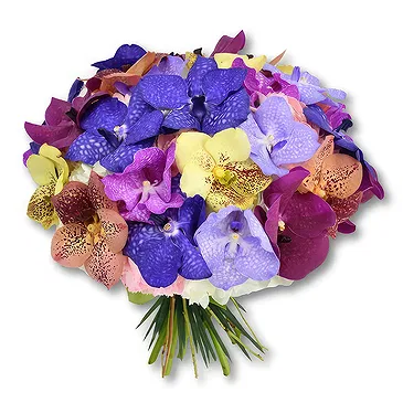 United Arab Emirates flowers  -  FAIRY ORCHIDS Flower Bouquet/Arrangement