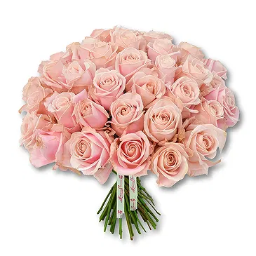 Garhoud flowers  -  Soft Pink Rose Arrangement Flower Bouquet/Arrangement