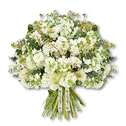 Bur Dubai online Florist - Elegant White Flower Bouquet  Bouquet